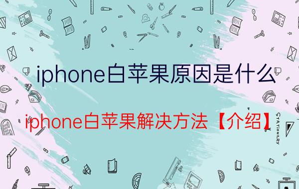 iphone白苹果原因是什么 iphone白苹果解决方法【介绍】